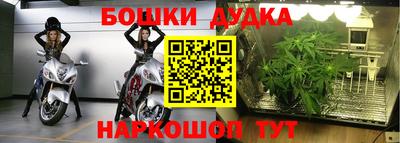 стаф Ливны