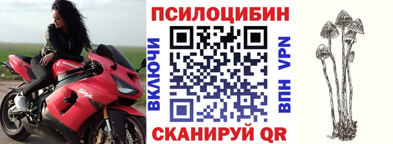 наркота  Якутск  Псилоцибиновые грибы мицелий 