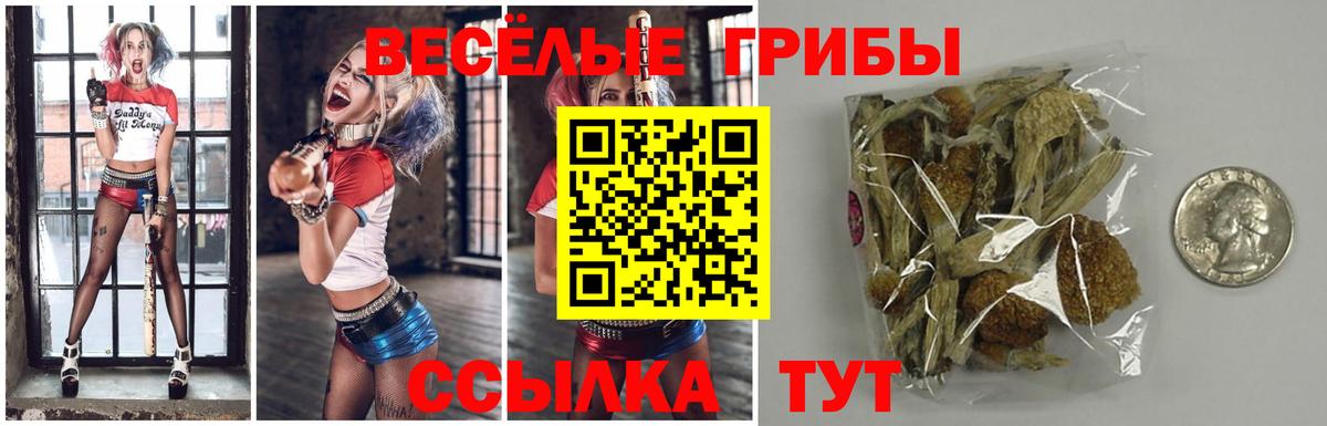 Галлюциногенные грибы прущие грибы  Вход с VPN  Якутск 